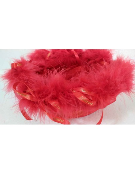 Cesto-bomboniere-Laurea-con-piume-rosse-e-nastri-in-raso-o-26xh10-cm-5