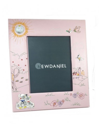 Cornice Portafoto Ricamata 20X25 Rosa