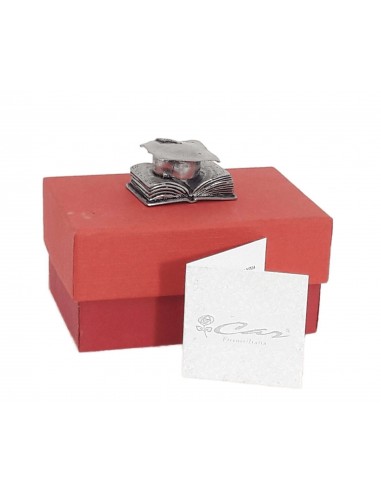 Libro con Cappello in Metallo Argentato