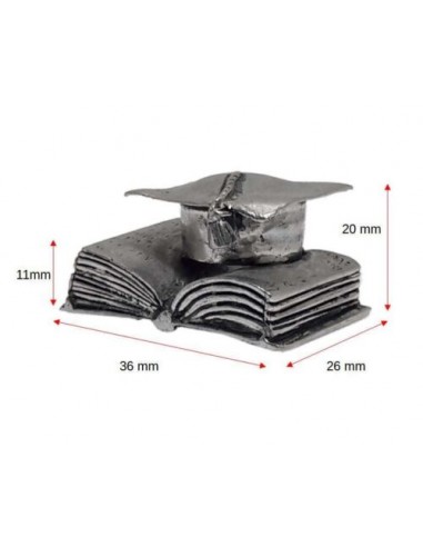 Libro con Cappello in Metallo Argentato