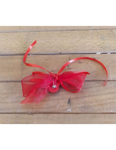 Coccinella-Rossa-Legno-con-Spilla- Fiocchetto-Rosso5