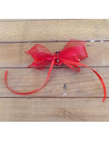 Coccinella-Rossa-Legno-con-Spilla- Fiocchetto-Rosso6