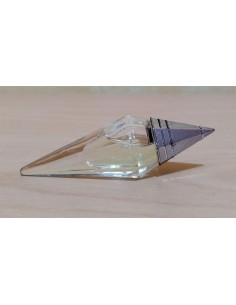 Marella-Ferrera-Musk-mignon 2