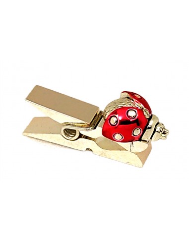 Coccinella-Rossa-su-molletta-portamessaggi-1