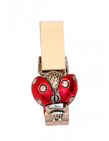 Coccinella-Rossa-su-molletta-portamessaggi-4