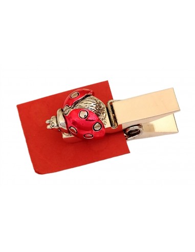 Coccinella-Rossa-su-molletta-portamessaggi