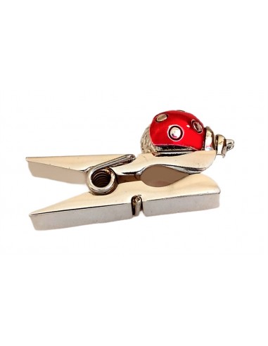 Coccinella-Rossa-su-molletta-portamessaggi-7