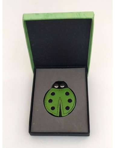 Coccinella-magnetica-fermasoldi-verde-4