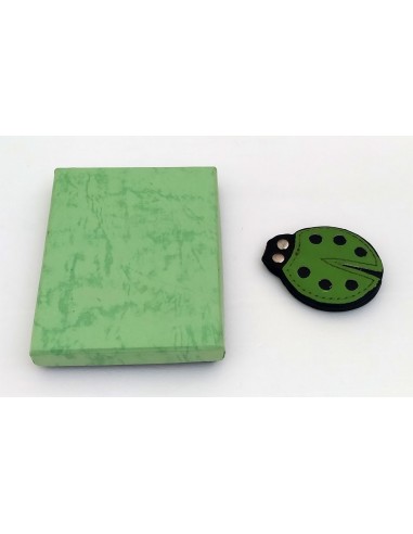 Coccinella-magnetica-fermasoldi-verde-2