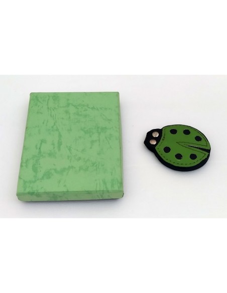 Coccinella-magnetica-fermasoldi-verde-2