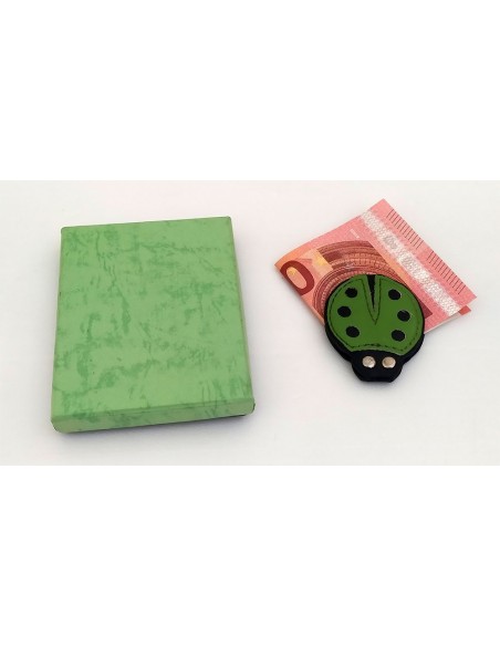 Coccinella-magnetica-fermasoldi-verde-1