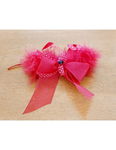 Coccinella-magnetica-su-fiocco-rosso