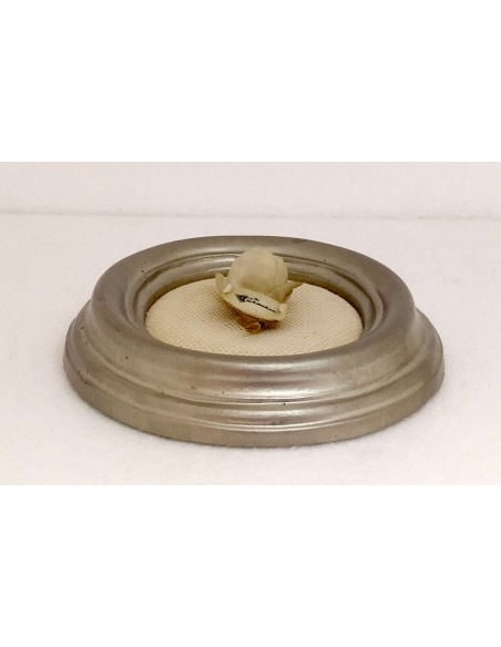 Quadretto-ovale-da-parete-con-fiore-Claraluna-5