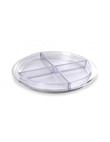 Antipastiera-colorata-Globo-diametro-32,5cm-Trasparente