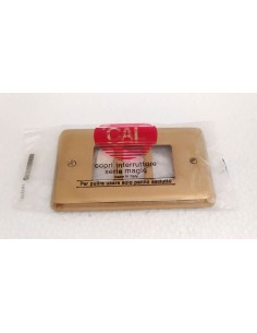 Placca-CAL-in-metallo-ottone-lucido-3-posti-Magic-Art5003