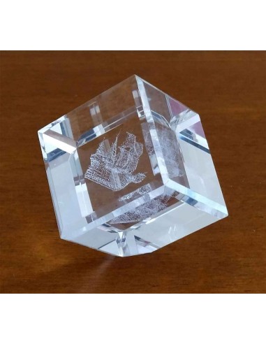 Fermacarte-cubo-in-cristallo-con-incisione-laser-3d-veliero-4