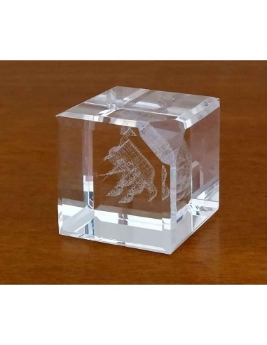 Fermacarte-cubo-in-cristallo-con-incisione-laser-3d-veliero-9